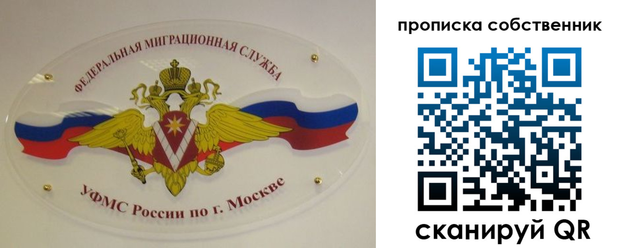 прописка 2025 в Медногорске